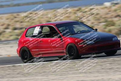 media/Oct-24-2025-Doghouse Garage (Fri) [[783d2ff07a]]/1-Advanced/Session 2 Turn 5 Tree of Life/